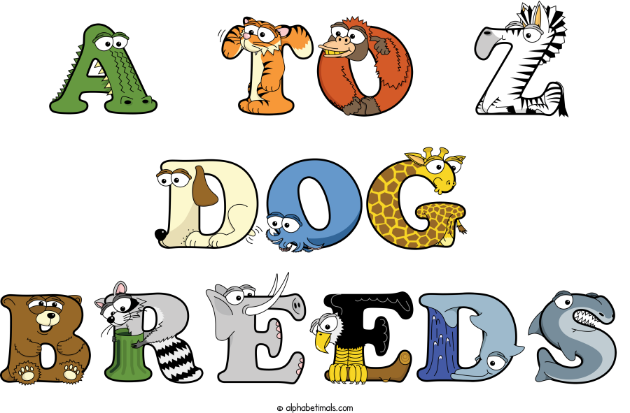 A To Z Dog Breeds animal word art spelling A To Z Dog Breeds with Alphabetimals - cartoon alphabet animals