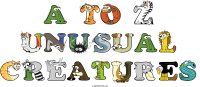 a-to-z-unusual-creatures animal word art