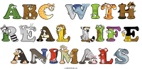 abc-with-real-life-animals animal word art