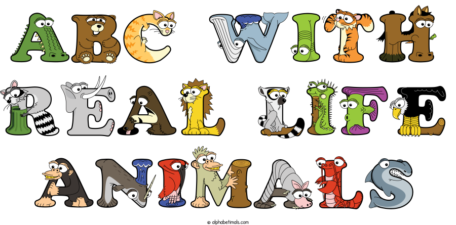 Abc With Real Life Animals animal word art spelling Abc With Real Life Animals with Alphabetimals - cartoon alphabet animals