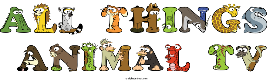 All Things  Animal Tv animal word art spelling All Things  Animal Tv with Alphabetimals - cartoon alphabet animals