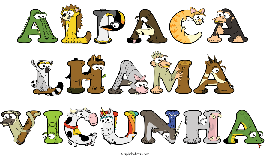 Alpaca Lhama Vicunha animal word art spelling Alpaca Lhama Vicunha with Alphabetimals - cartoon alphabet animals