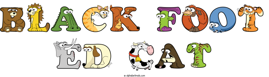 Black Foot Ed Cat animal word art spelling Black Foot Ed Cat with Alphabetimals - cartoon alphabet animals
