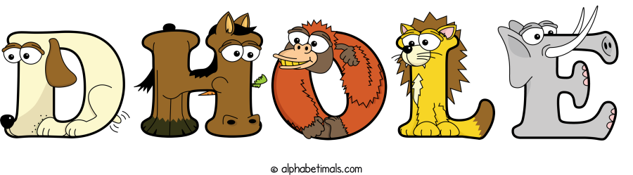 Dhole animal word art spelling Dhole with Alphabetimals - cartoon alphabet animals