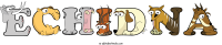 echidna animal word art