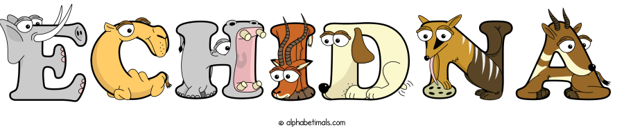 Echidna animal word art spelling Echidna with Alphabetimals - cartoon alphabet animals