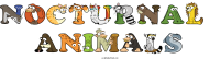 nocturnal--animals animal word art