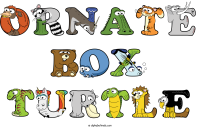 ornate-box-turtle animal word art