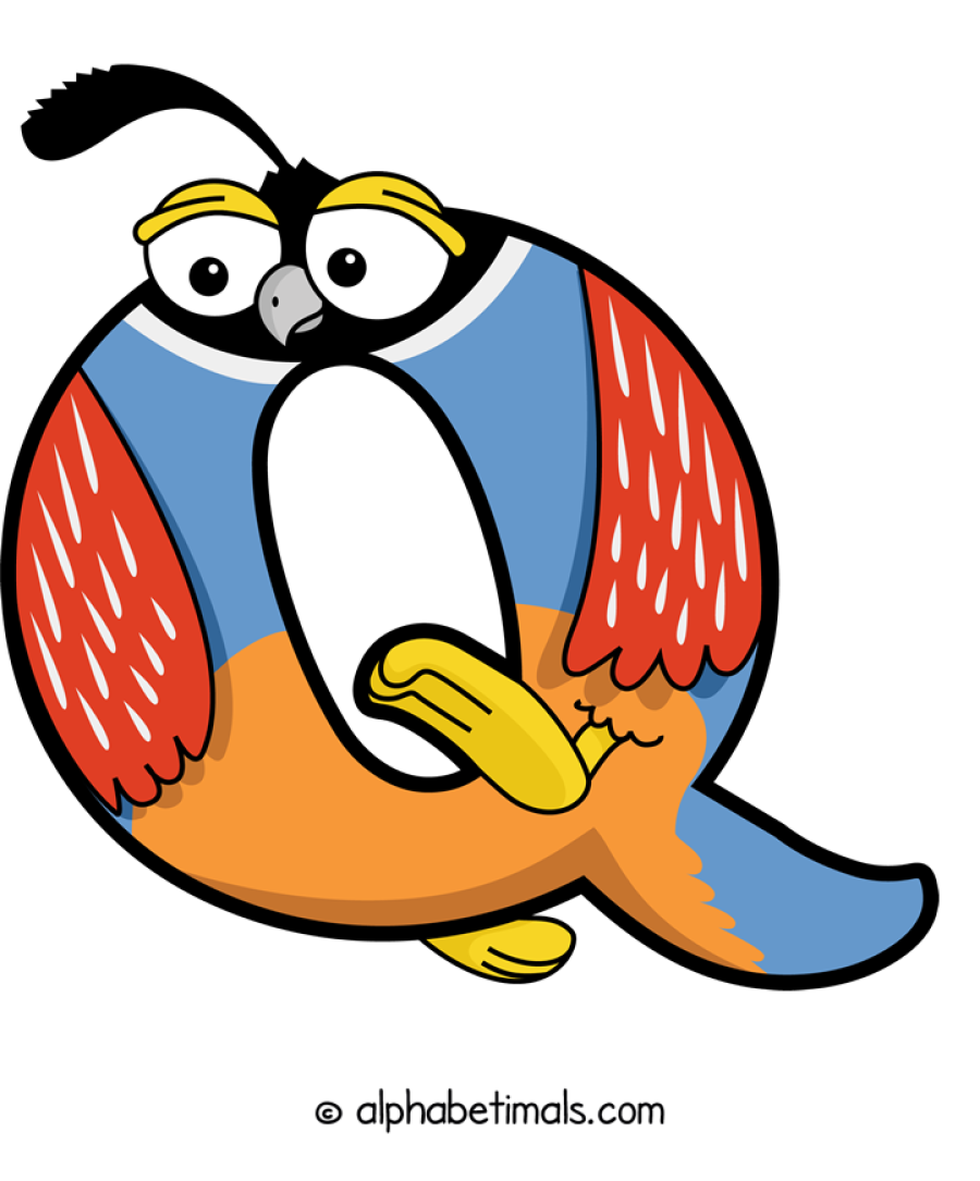 Q animal word art spelling Q with Alphabetimals - cartoon alphabet animals