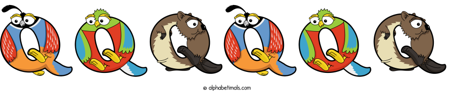 Qqqqqq animal word art spelling Qqqqqq with Alphabetimals - cartoon alphabet animals
