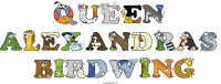 queen-alexandras--birdwing animal word art