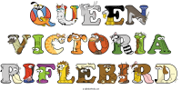 queen-victoria-riflebird animal word art