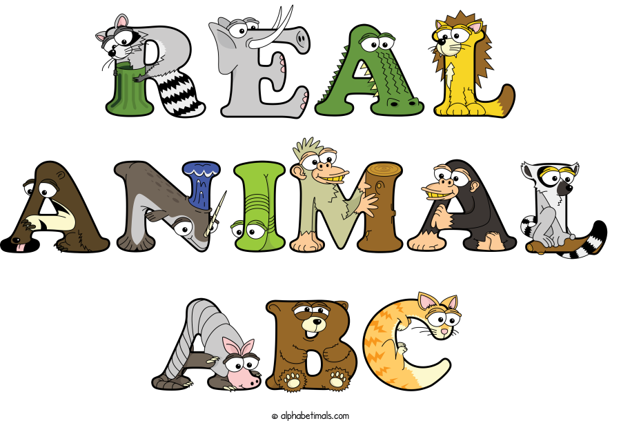 Real Animal Abc animal word art spelling Real Animal Abc with Alphabetimals - cartoon alphabet animals