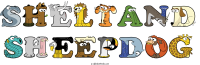 Sheltand Sheepdog animal word art