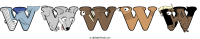 wwwww animal word art