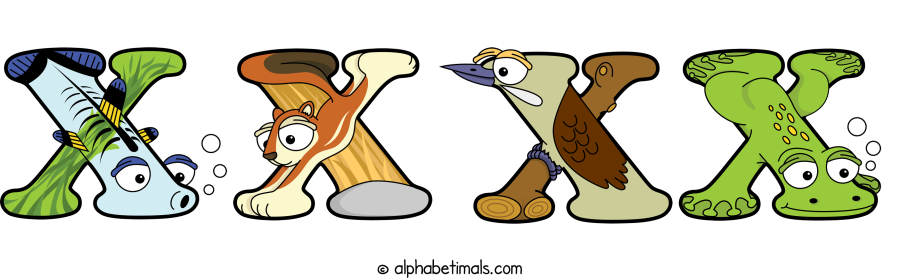 Xxxx animal word art spelling Xxxx with Alphabetimals - cartoon alphabet animals