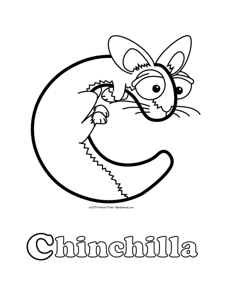 Free chinchilla coloring page