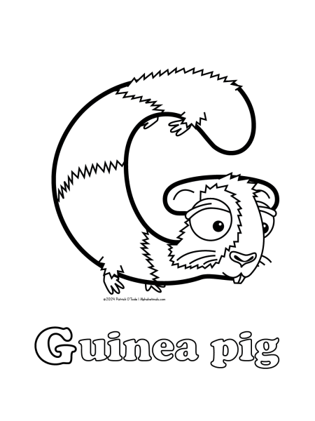 Free guinea pig coloring page