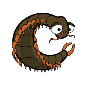 Cartoon Centipede | Alphabetimals.com