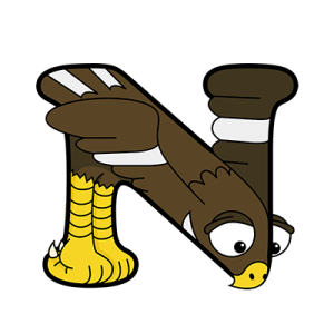 Cartoon Nighthawk | Alphabetimals.com
