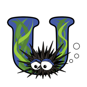 Cartoon Urchin | Alphabetimals.com