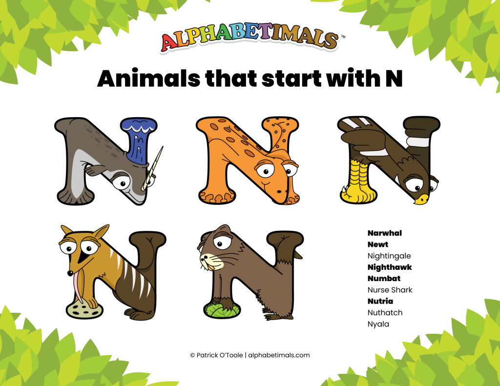 Animals that start with N